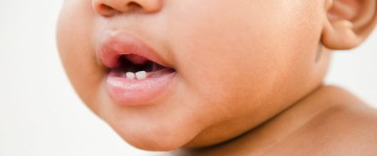 gty-baby-teeth-jc-170601_12x5_992